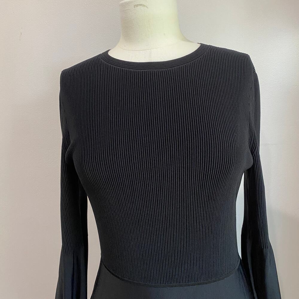 Theory Blouson Whimsigoth Sleeve Fit & Flare Witchy Dress NWT Sz Large - Picture 10 of 10